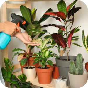 NeemAzal T/S Ziemiórki 10ml (2 x 5ml) (azadyrachtyna A) Twój Ogród - środek owadobójczy 10