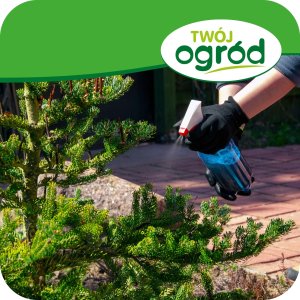 Proplant 722 SL (propamokarb) Twój Ogród - środek grzybobójczy 100ml 4