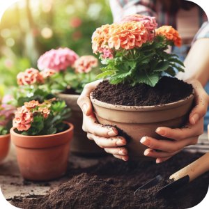 Proplant 722 SL (propamokarb) Twój Ogród - środek grzybobójczy 100ml 10