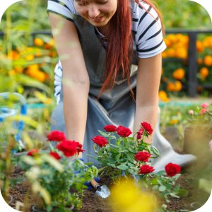 Proplant 722 SL (propamokarb) Twój Ogród - środek grzybobójczy 5ml 14