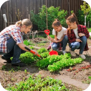 Proplant 722 SL (propamokarb) Twój Ogród - środek grzybobójczy 5ml 15