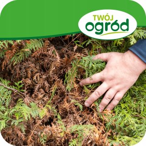 Proplant 722 SL (propamokarb) Twój Ogród - środek grzybobójczy 5ml 5