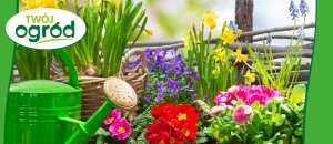 Rhizosum N Plus Twój Ogród 2w1 Rośliny Ozdobne 2,5g w zestawie Wapniak Kornicki 1kg 10