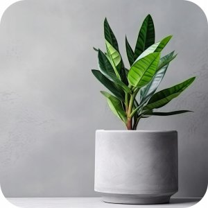 Ziemia podłoże do roślin zielonych 5l (kwasy humusowe) Twój Ogród 5