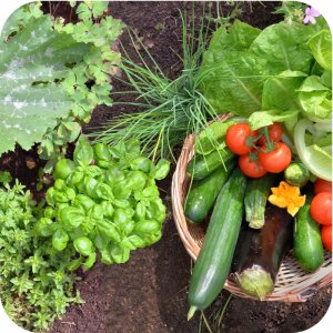 Ziemia podłoże uniwersalne 5l Twój Ogród 12