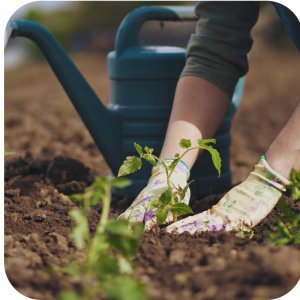 Ziemia podłoże uniwersalne 5l Twój Ogród 6