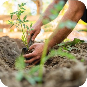 Ziemia podłoże uniwersalne 5l Twój Ogród 7