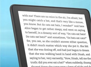 Czytnik Amazon Kindle Paperwhite Kids 16GB Emerald Forest (B0BLB7Y8K9) 3