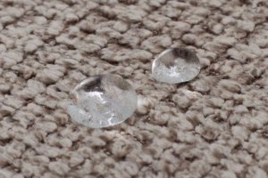 Welsti Schody dla psa 30cm 2 pochylne stopnie beżowo-brązowe 11