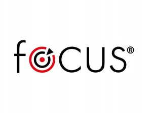 Focus piana zwalcza osy i szerszenie 300ml 5