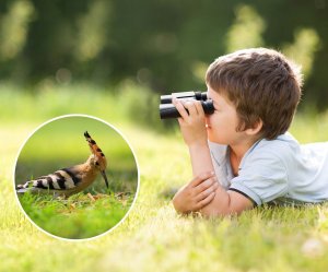 Lornetka MINI K&F CONCEPT ZOOM 8x 25mm 8x25 Szkło BaK4 IP65 + Etui KF33.092 10