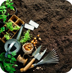 Nawóz 12-12-17 Rosafert 25 kg 3