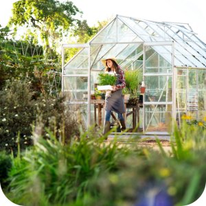 Nawóz 12-12-17 Rosafert 25 kg 6