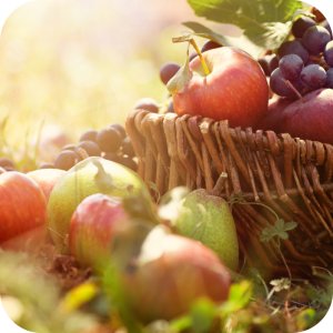 Nawóz 12-12-17 Rosafert 25 kg 8