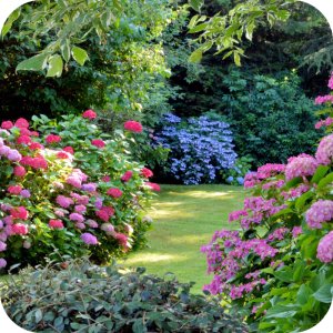 Nawóz 12-12-17 Rosafert 5 kg 11