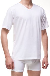 Koszulka męska  Authentic 201 NEW M-3XL 4XL 1