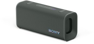 Sony SRSULT30H Przenośny głośnik stereo Szary 27 W 1