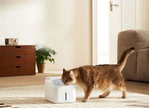 Xiaomi XMCWYSJ02 Smart Pet Fountain 4L 6