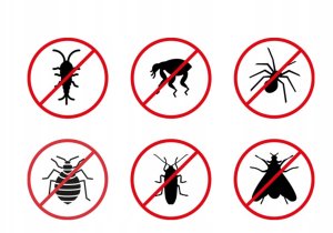 Focus zamrażacz na owady 600ml 5