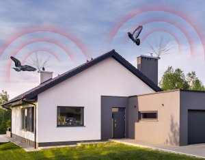 Szczytowe Nierdzewne Kolce na Ptaki Gołębie Kolce Przeciw Ptakom Gołębiom na Maszty Słupy Kominy 7