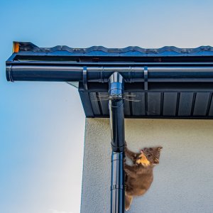 Nierdzewne Stalowe Kolce na Kuny Koty Łasice Przeciw Kunom Kotom na Rury Spustowe Rynny Konstrukcje "No Marten Spikes" 9