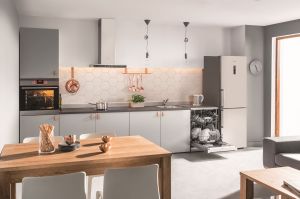 Lodówka Amica FK3336.3DFCXAA 11