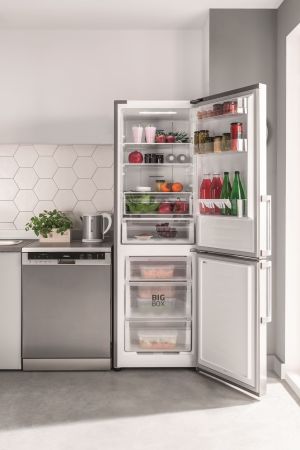 Lodówka Amica FK3336.3DFCXAA 13