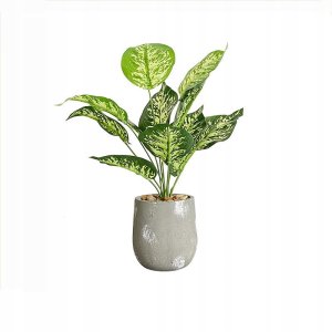 ITIMPORT SZTUCZNA Roślina W DONICZCE REALISTYCZNA 42cm Dieffenbachia do DOMU BIURA 4