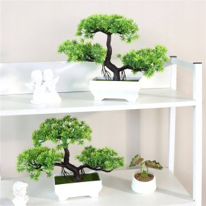 ITIMPORT Roślina BONSAI w Doniczce DRZEWKO MINI Piękne REALISTYCZNE Ozdobne 5