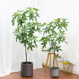 ITIMPORT SZTUCZNA Roślina PACHIRA W DONICZCE REALISTYCZNA 60cm KRZACZEK PIĘKNA 2