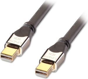 Kabel Lindy DisplayPort Mini - DisplayPort Mini 1m srebrny (41541) 1