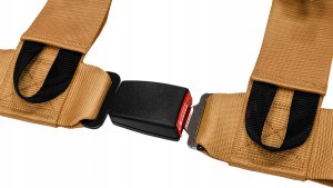 Pasy sportowe Slide V2 Złote 4P 3" E4 2