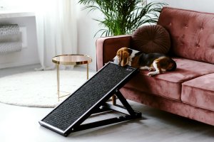 Rampa dla psa PLUTO czarna ANIMOOD 6