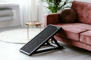 Rampa dla psa PLUTO czarna ANIMOOD 7