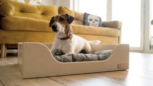 Drewniane legowisko dla psa i kota SCRAPPY M brzoza ANIMOOD 11