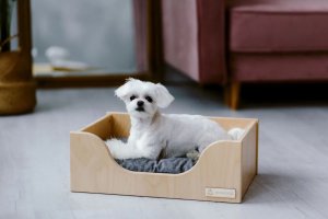 Drewniane legowisko dla psa i kota SCRAPPY M brzoza ANIMOOD 12