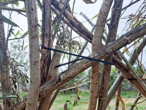 Opaski zaciskowe 4,5mm / 200mm czarne 100 szt. VOZ-45200B Vayox 12