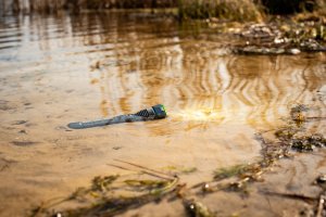 Latarka taktyczna 3000lm IPX7 30W LED SMD Pro Series VA0364 Vayox 7