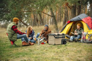 Lodówka turystyczna 39L DC12/24V AC 220-240V dwie komory kółka Expedition series VA-EW39 Vayox 16