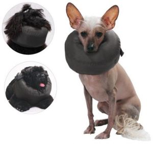 Grande Finale Kołnierz pooperacyjny rozmiar 6 2