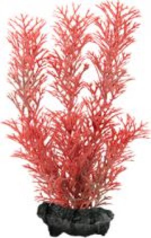 Tetra DecoArt Plant L Foxtail Red 2