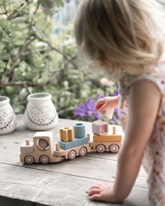 New! Baby's only wooden toy train 10+ Earth BO-860.852.800.50 2