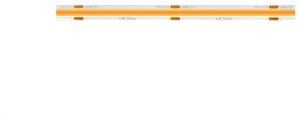 LED line PRIME taśma LED 320 COB 24V 4000K 8W wodoodporna IP66 /5m/ 5 lat gwar. 1