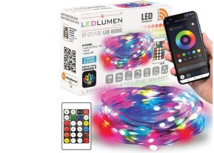 SF-01/100 LED RGBIC 10m USB SMART 1
