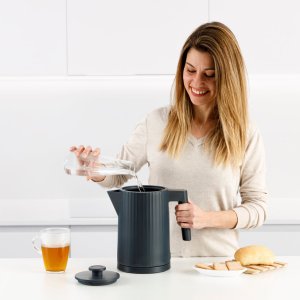 Virdulys Taurus Jonic Tea TA958570000, 2200 W, 1,7 l 7