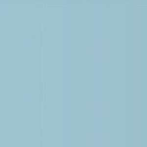 Eveline Hybrid Professional Lakier Hybrydowy 305 5ml 2