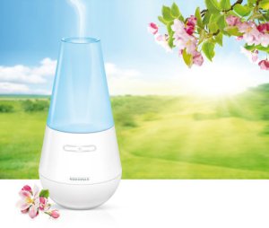 Mr&Mrs Fragrance Air freshener Valencia 4006501680259 3