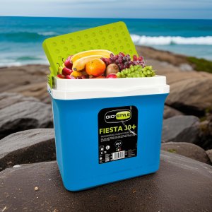 Cool box Fiesta+ 30 light blue/light green 8000303310853 10