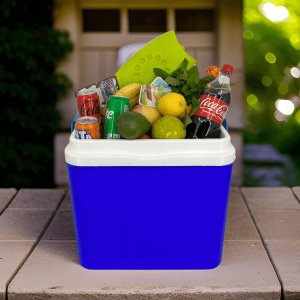 Cool box Bravo 25 Ultra blue 8000303316534 12