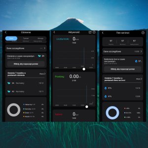 Smart Ring Rubicon R06 9 Złoty 7